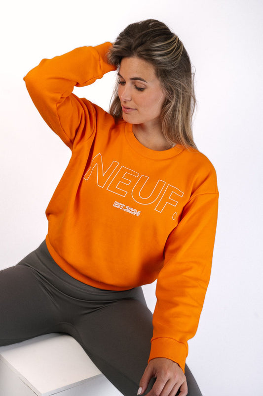 Joy NEUF. Sweater